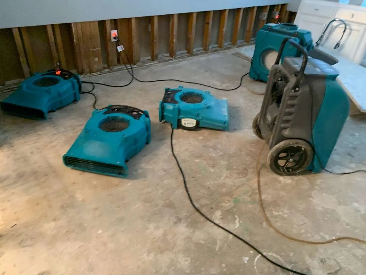 Water Damage Restoration services in Forest Lake, MN